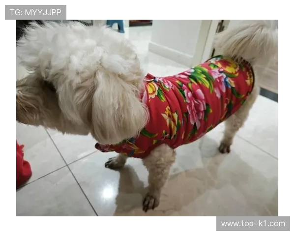 皮克今天豪车换成跑船了？这变装有点猛哈