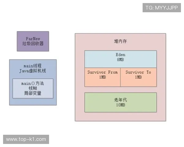 新手必学：球出界判定规则详解及常见争议场景分析